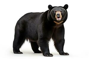 AI generated Realistic black bear clipart photo