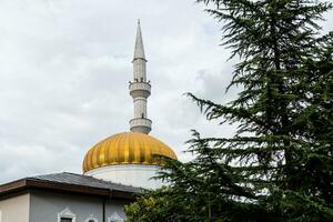 dome and minaret of Orta Jame mosque in Batumi photo