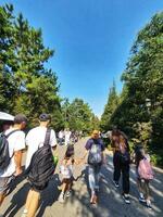 Osaka, Japan on September 30, 2023. Visitors entering and exiting The Wizarding World of Harry Potter. photo