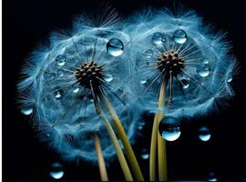 AI generated Dandelion seeds on bokeh background. 3d rendering photo