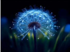 AI generated Dandelion seeds on bokeh background. 3d rendering photo