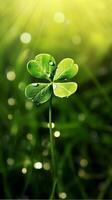 AI generated Green clover leaves with drops of water. St. Patrick's Day generated with AI photo