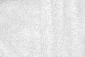 White clean wool texture background. light natural sheep wool. white seamless cotton. texture of fluffy fur for designers. close-up fragment white wool carpet. photo