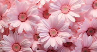 AI generated pink daisy flower background with white dots on light pink background photo