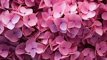 AI generated pink hydrangea foliage wallpaper photo