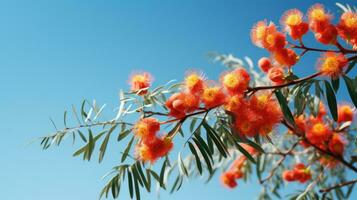 ai generado mimosa rama, flores, árbol rama, rama marco animación foto