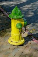 Annapolis, MD, USA 2023. Yellow and green painted fire hydrant in Annapolis MD photo