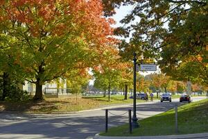 Arlington Cemetery, VA, USA 2023. Fall colors on the trees at the Arlington National Cemetery in Virginia photo