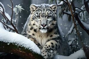 AI generated Image of snow leopard running in the mountains wood photo