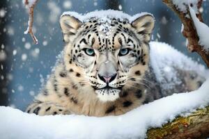 ai generado imagen de nieve leopardo corriendo en el montañas madera foto