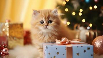 AI generated cat kitten with gift box, ai photo