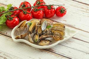 Vongole shellfish mollusc clem with butter photo