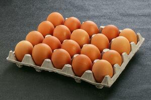 Organic chicken egg in the carton photo