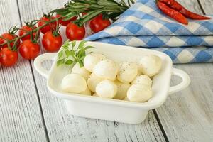 Mozzarella cheese balls in the bowl photo