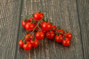 Ripe sweet Cherry tomato branch photo