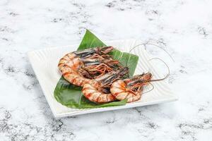 Cooked tiger prawn in the pate photo