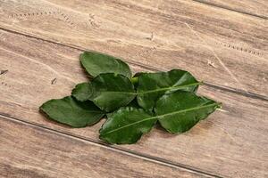 Aroma seasoning kaffir lime leaves photo