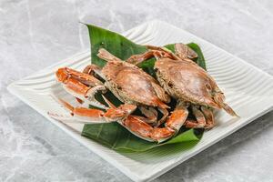 Yummy boiled crab in the plate photo