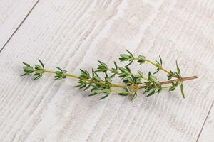 Aroma seasoning thyme stem with leaves photo