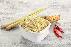 Asian cuisine Mash bean sprout photo