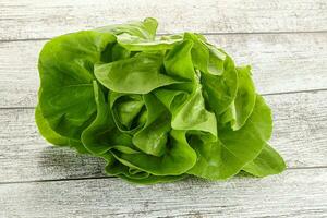 Salad leaves heap for snack photo