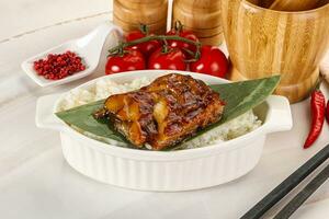 Grilled eel with steamed rice photo