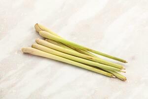 Green lemongrass stem aroma seasoning photo