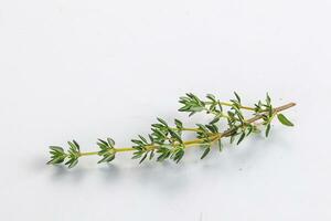 Aroma seasoning thyme stem with leaves photo
