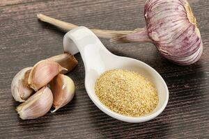 Dry granulated garlic aroma seasoning photo