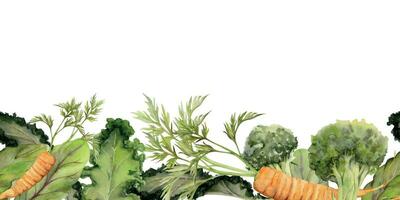 Hand drawn watercolor vegetables and green salad mix for diet, healthy lifestyle, vegan cooking. Illustration seamless border isolated on white background. Design poster, print, website, card, menu vector