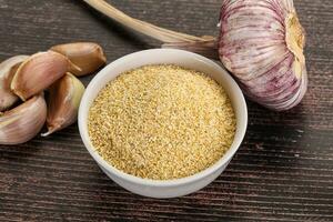 Dry granulated garlic aroma seasoning photo