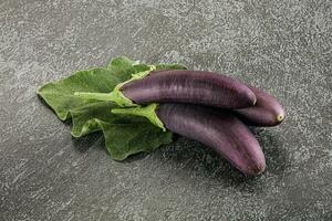 Raw ripe organic eggplant with leaf photo