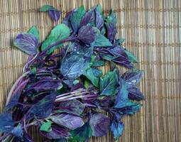albahaca racimos en el mesa. verdor desde el jardín. plantas para alimento. ensalada preparación. azul fragante hojas. foto