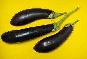 Eggplant concept. Vegetable background. photo