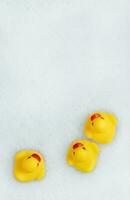 alto ángulo ver de amarillo caucho Pato en bañera nadando en espuma agua. amarillo caucho patitos en jabonoso espuma. foto