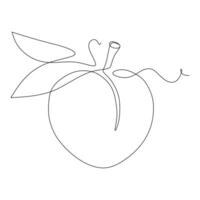 Continuous one single line drawing of peach fruit icon vector illustration concept