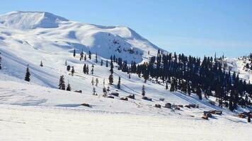 lato statico Visualizza snowboarder vestito nel buio nero abbigliamento sportivo equitazione giù il montagna pendenza nel Georgia, goderdzi su Caucaso soleggiato giorno video