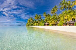 Beach resort landscape, tropic surf and horizontal sea as summer holiday vacation. Relax luxury hotel beach background. Amazing sea view blue sea, exotic travel destination. Palm tree white sand vibes photo