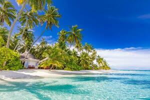 Beach resort landscape, tropic surf and horizontal sea as summer holiday vacation. Relax luxury hotel beach background. Amazing sea view blue sea, exotic travel destination. Palm tree white sand vibes photo