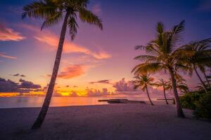 paisaje de paraíso tropical isla playa, amanecer puesta de sol vista. exótico escenario, palma árboles, suave arena y calma mar. verano playa paisaje, vacaciones o tropical viaje puesta de sol colores nubes horizonte foto