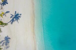 Palm trees shadows on sandy beach, calm sea waves. Turquoise ocean coast from above. Amazing summer nature landscape. Fantastic sunny beach shore, relaxing peaceful and inspirational beach vacation photo