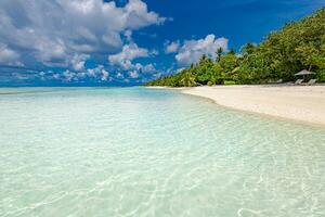 Increíble playa natural con palmeras y cielo cambiante. concepto de fondo de vacaciones de viaje de vacaciones de verano. playa paraíso de maldivas. concepto de fondo de vacaciones de verano de viajes de lujo. foto