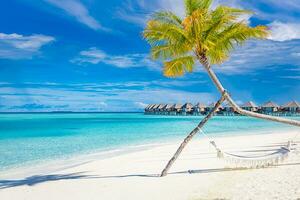 Tropical beach background as summer landscape with beach swing or hammock and white sand and calm sea for beach banner. Perfect beach scene vacation and summer holiday concept. Boost up color process photo