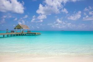 Maldivas paraíso escenario. tropical aéreo paisaje, marina y agua villas con increíble mar y laguna bahía, tropical naturaleza. exótico turismo popular destino bandera. panorámico verano vacaciones foto