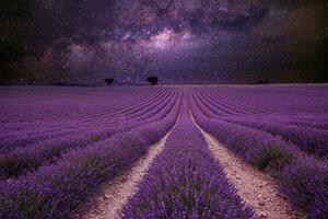 increíble naturaleza paisaje. maravilloso noche paisaje, lechoso camino cielo con líneas de floreciente lavanda prado. primavera verano escenario, artístico paisaje y skyscape vista. inspirador naturaleza paisaje foto