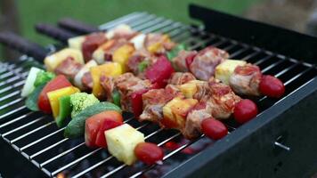 een vrouw handen toevoegen saus en roterend de spiesjes van barbecue wezen gebakken Aan een houtskool grill, barbecue partij in de tuin achtertuin video