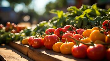 AI generated Fresh red and yellow tomatoes on a wooden table in a vegetable garden photo