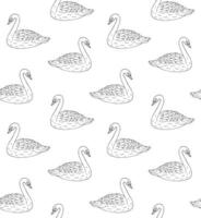 Vector seamless pattern of hand drawn swan