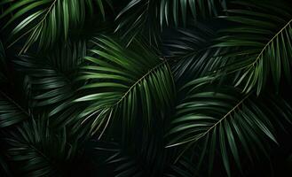 AI generated palm leaves on a dark background with palm leaves in the background, photo