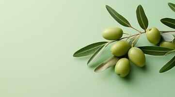 AI generated olive branch with fronds olives photo